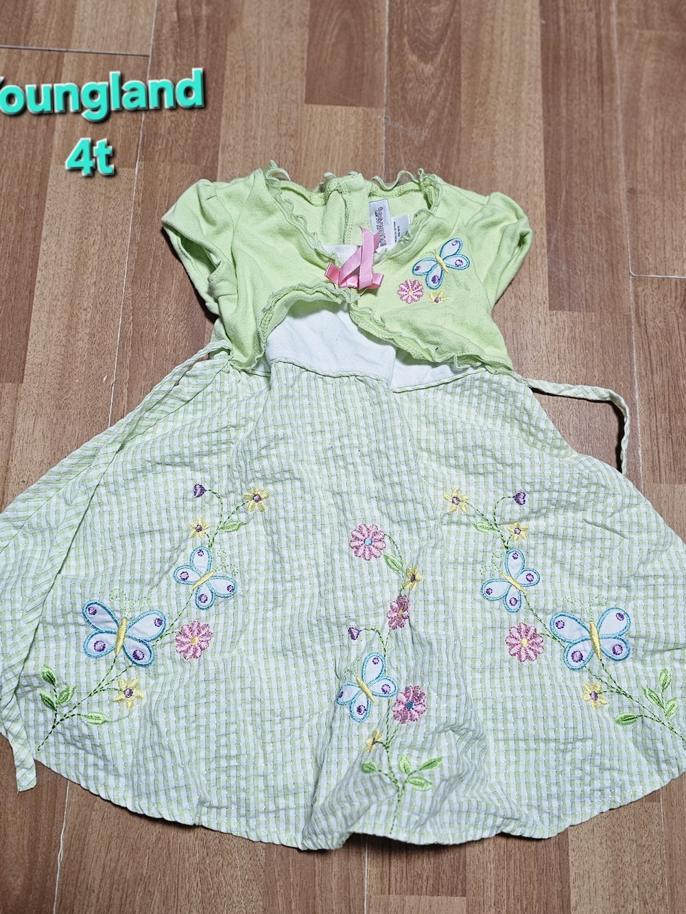Youngland Light Green Butterfly & Floral Embroidered Dress 4t